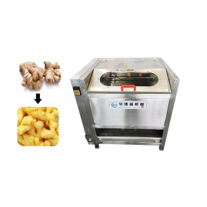 Brush root vegetable peeling equipment with stalinite cover