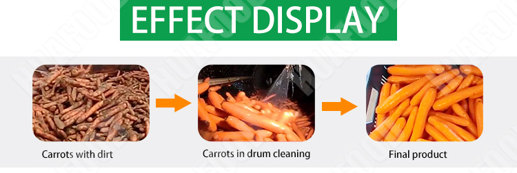 Carrot washing line /frozen vegetable production line - Fruit and vegetable washing machine - 1