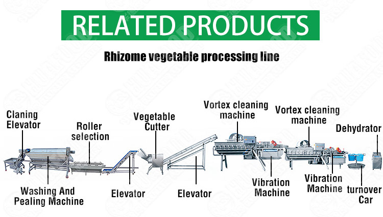 vortex vegetable washing production line for supermarket - Fruit and vegetable washing production line - 2