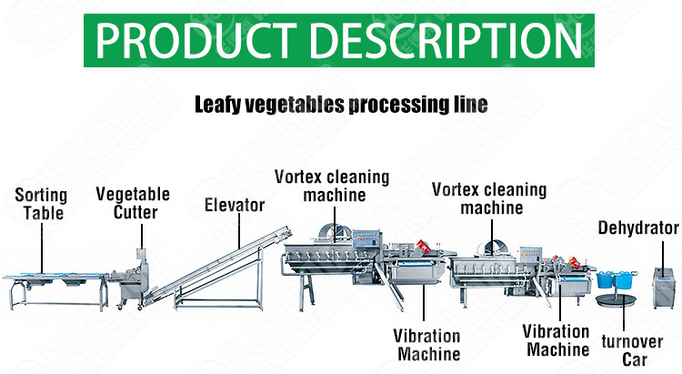 vortex vegetable washing production line for supermarket - Salad vegetable washing production line - 1