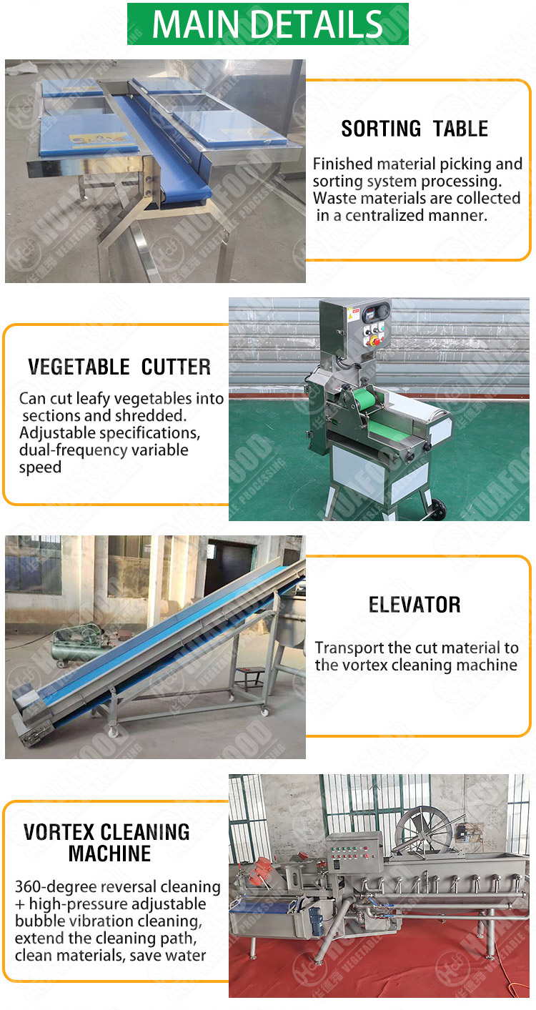 vortex vegetable washing production line for supermarket - Fruit and vegetable washing production line - 3