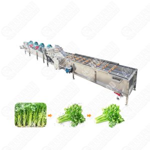 Leafy vegetable washing and drying line