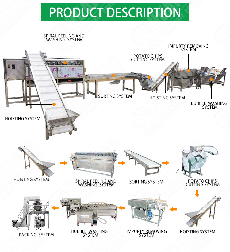 Potato washing peeling machine / processing line - Fruit and vegetable washing production line - 1