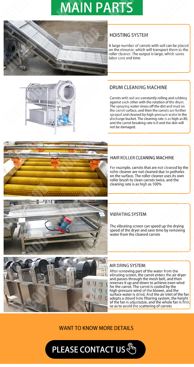 Carrot washing line /frozen vegetable production line - Fruit and vegetable washing machine - 2