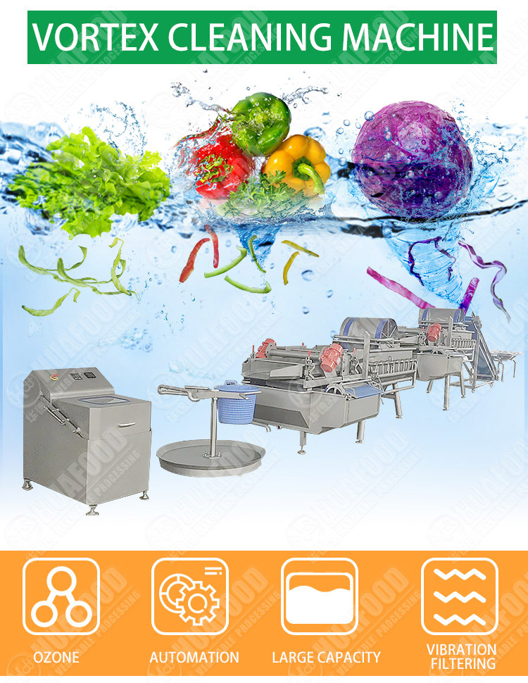 vortex vegetable washing production line for supermarket - Fruit and vegetable washing production line - 1