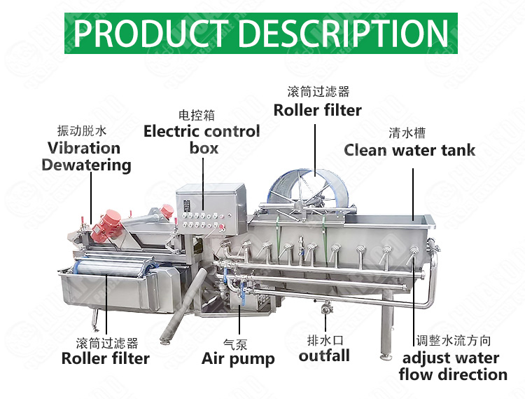 Vacuum Frying Machine For Fruits And Vegetables - Salad vegetable washing production line - 1