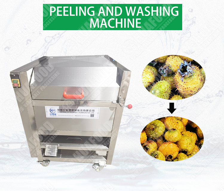 Ginger and Potatoes Washing Machine/Ginger Washer/Ginger Peeler Machine