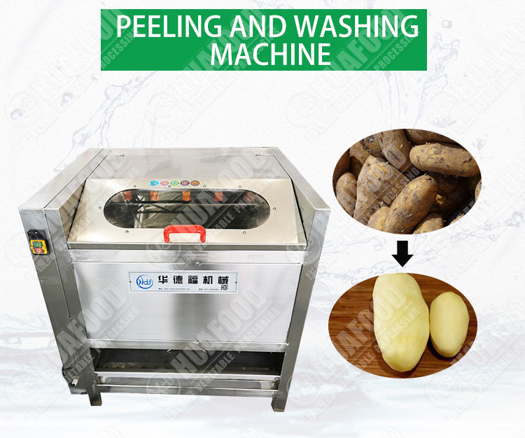 Brush root vegetable peeling equipment with stalinite cover - Potato Peeling Machine - 1