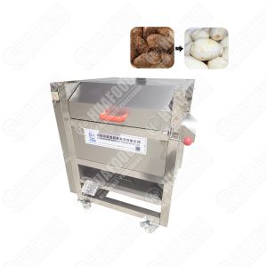 Ginger Radish Potato Washing Peeling Machine with stainless steel cover