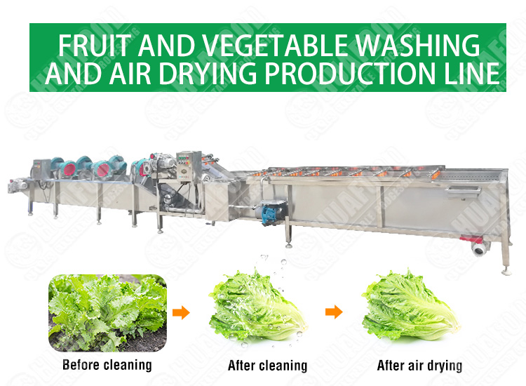 Leafy vegetable washing and drying line - Fruit and vegetable washing machine - 1