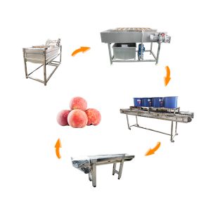 Peach washing and drying production line
