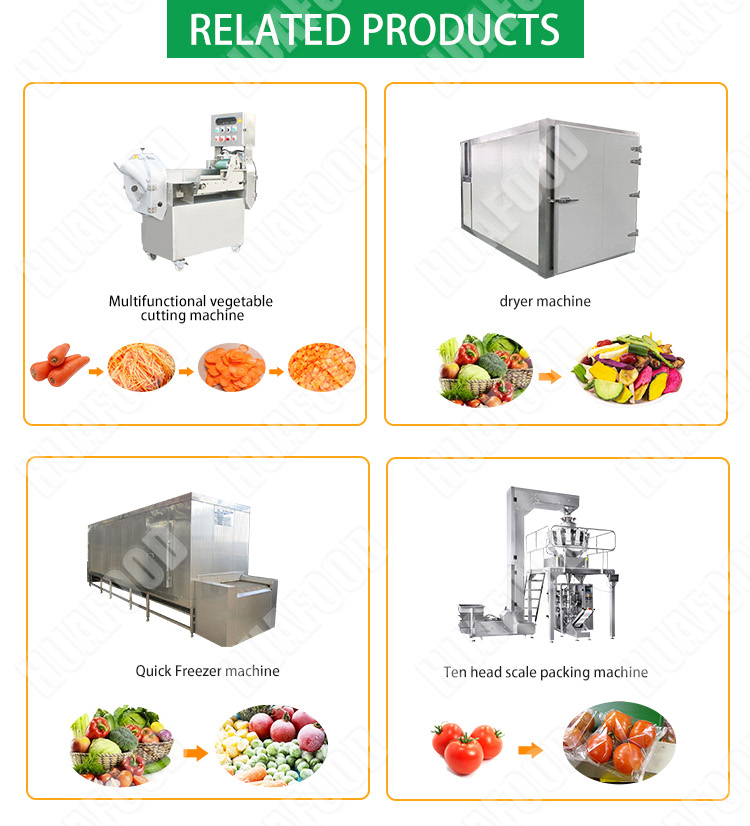 fruit & vegetables cleaning machine for frozen processing line device - Fruit and vegetable washing production line - 4