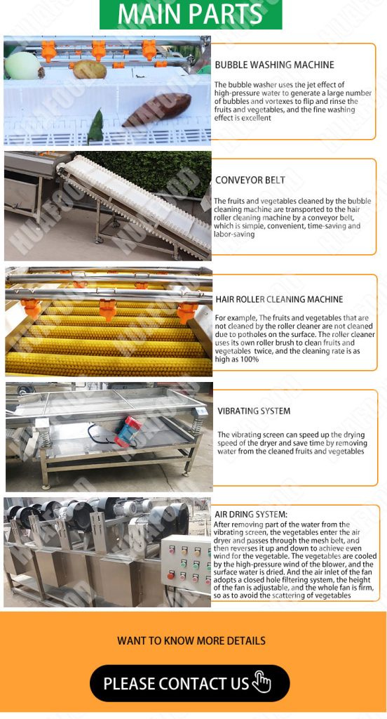 fruit & vegetables cleaning machine for frozen processing line device - Fruit and vegetable washing production line - 5