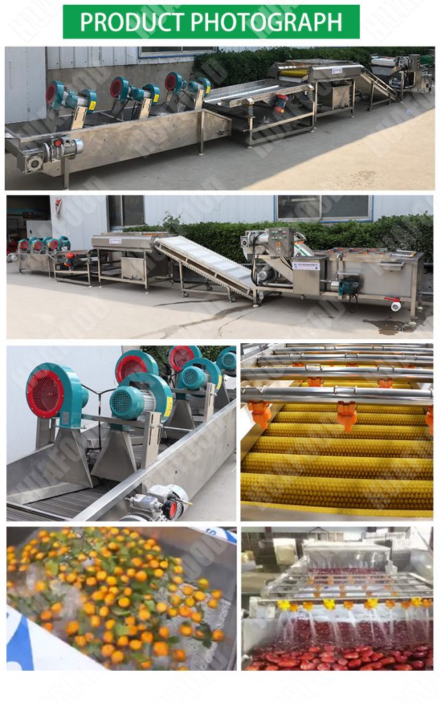 fruit & vegetables cleaning machine for frozen processing line device - Fruit and vegetable washing production line - 6