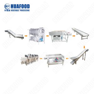 fruit & vegetables cleaning machine for frozen processing line device