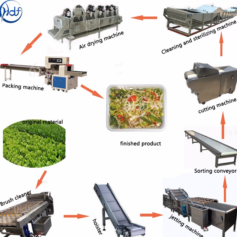 Multifunctional small vegetable washer cutting pickled vegetable processing machine - Fruit and vegetable washing production line - 1