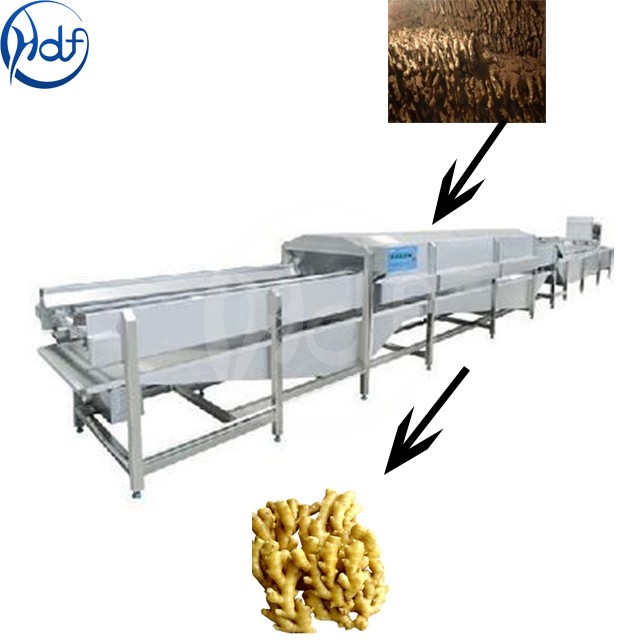 Ginger cleaning machine taro cleaning machine bubble cleaning line - Fruit and vegetable washing production line - 1