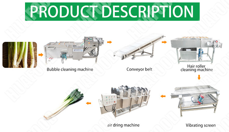 fruit & vegetables cleaning machine for frozen processing line device - Fruit and vegetable washing production line - 3