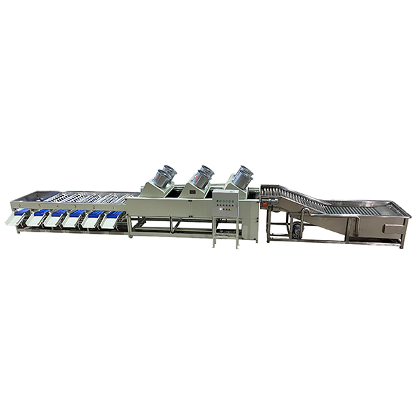 Fruit and citrus washing and sorting machine