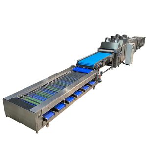 Potatoes, sweet potato roots and stems cleaning and sorting machine