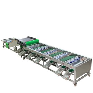 Automatic garlic, orange, apple sorting machine, suitable for round fruit sorting