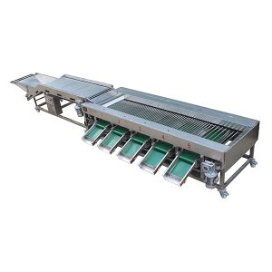 Fully automatic fruit sorting machine, suitable for all kinds of fruits