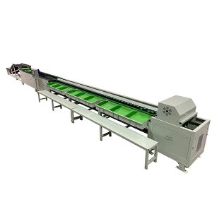 Electronic weighing sorting machine