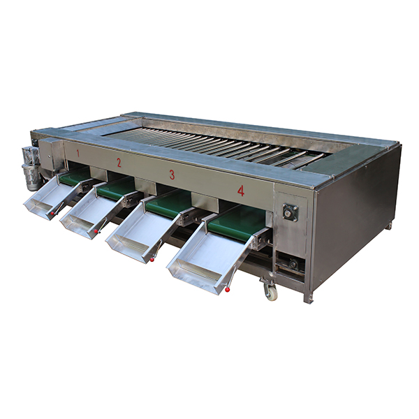 Fruit sorting small machine, suitable for all kinds of fruits