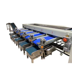 Fruit weighing, packaging, sorting machine