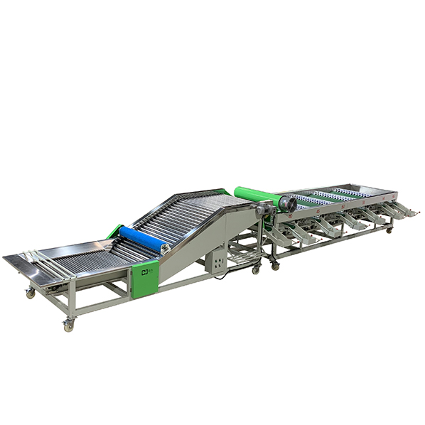 Automatic garlic, orange, apple sorting machine, suitable for round fruit sorting