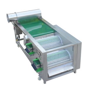 Blueberry Sorting Machine