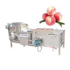 Apple Washing Machine: Meeting the High Demands of Industrial Fruit Cleaning