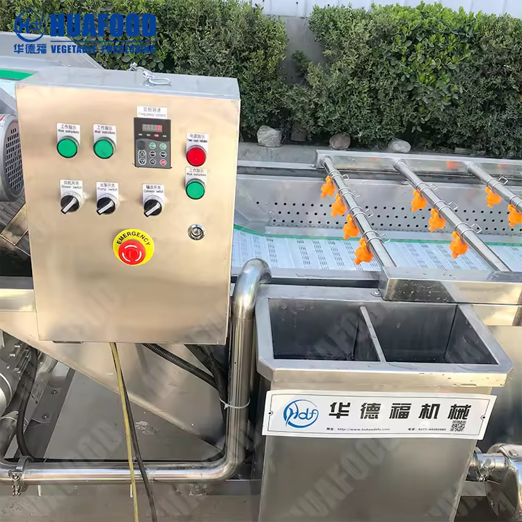 fruit washer machine