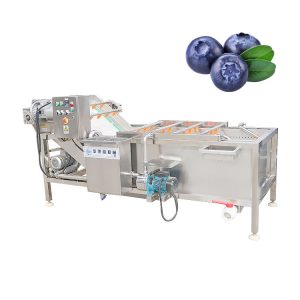 Freshness Guaranteed: Blueberry Cleaning Machine in Action