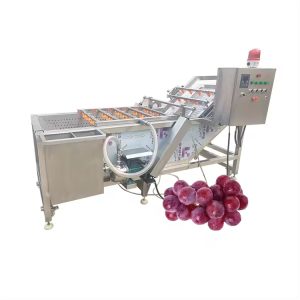 The Role of Grape Washing Machines on Our Farm