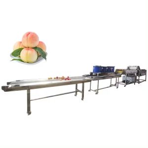 Peach Cleaning Machine: Top-Quality Fruit Washers for Sale